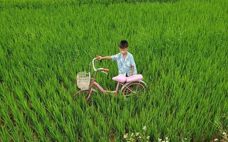 Chưa tỉnh ngủ đã phải đạp xe ra ngoài, cậu bé lao thẳng xuống ruộng khiến ai cũng cười "ha ha" nhớ lại tuổi thơ dữ dội