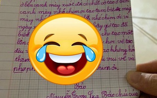 Chim vành khuyên bị chuột ăn thịt, cậu bé mếu máo viết thư tạ tội: “Xin lỗi vì ngày xưa hay trêu mày”  