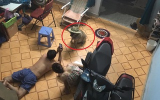 Bố mẹ suýt đuổi con gái ra khỏi nhà vì đem "boss" về nuôi, cảnh tượng 6 năm sau khiến ai cũng sửng sốt: Nhìn mà tức á!