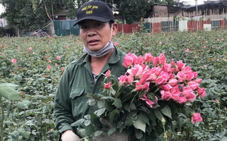 Làng hoa lớn nhất Hà Nội ủ rũ vì Covid-19: “Chắc phải bán đất để bù lỗ"