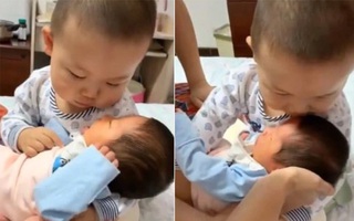 Hình ảnh anh trai trìu mến bế em gái mới sinh, cư dân mạng thốt lên "Đây sẽ là một người đàn ông ấm áp trong tương lai!"