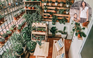 Mẹ trẻ cải tạo ban công tập thể chỉ 6m² thành vườn cây cùng góc thư giãn tuyệt đẹp cho gia đình ở Hà Nội
