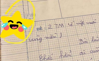 Cô dặn làm văn không được chép lại bài tham khảo, học sinh liền "nhắn nhẹ" với cô một câu, ai ngờ gây bão mạng xã hội