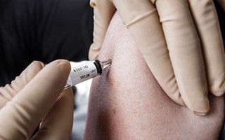 Nghiên cứu: Một loại vắc-xin có tuổi đời 100 năm có thể giúp con người chống lại đại dịch COVID-19?