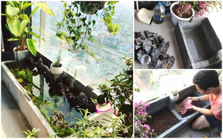 Có ngay bể cá siêu đẹp cho những ngày ở nhà thảnh thơi đọc sách chỉ bằng 2 thùng xốp cùng hướng dẫn đơn giản của ông chồng quốc dân Hà Nội
