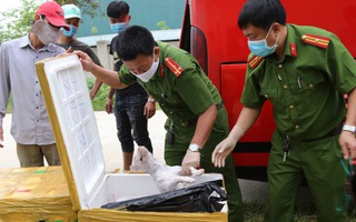 Xe giường nằm chở 2,4 tấn thịt chó, mèo và nội tạng động vật bốc mùi