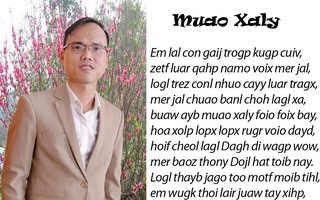 Tiếng Việt không dấu bị độc giả phản ứng gay gắt, tác giả lên tiếng: Chữ viết của tôi nên để chuyên gia thẩm định!