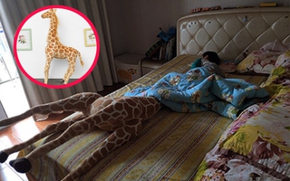 Tặng con trai chú hươu cao cổ đại bự, ông bố khóc thét vì 1001 rắc rối từ món quà này nhưng pha xử lý của anh lại khiến dân mạng chảy nước mắt