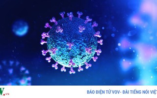 Tiết lộ bất ngờ về ca tử vong đầu tiên do Covid-19 tại Mỹ