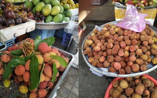 Rẻ như vải đầu mùa ở Sài Gòn: Giá chỉ từ 40.000 đồng/kg, chợ dân sinh đầy nhóc ngon lành