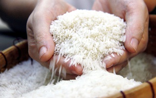 Mua gom gạo, thóc để đầu cơ có thể bị truy cứu trách nhiệm hình sự