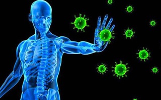 Liệu bạn có miễn dịch với SARS-CoV-2?