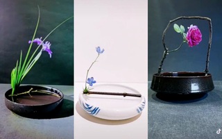 Rộ trào lưu cắm hoa kiểu tối giản với 1 cành vừa tinh tế lại tiết kiệm, khiến hội "chưa đảm" mê tít