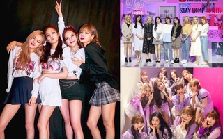 BLACKPINK chưa comeback đã lăm le soán ngôi "nữ hoàng album" của IZ*ONE, TWICE, nhìn số lượng "pre-order" mà phát hoảng