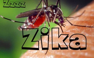 Phát hiện 1 nam thanh niên ở Đà Nẵng mắc virus Zika: Bệnh Zika nguy hiểm ra sao và lây qua những con đường nào?