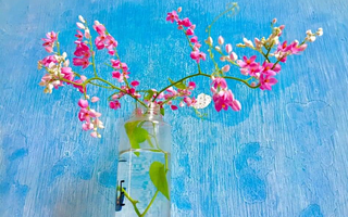 Rộ trào lưu decor nhà bằng... hoa cỏ dại, chị em chẳng mất tiền mà có ngay không gian sống hệt homestay