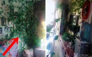 Trở về nhà sau thời gian bị mắc kẹt vì phong tỏa, thanh niên giật mình khi thấy cả ngôi nhà bị xâm chiếm bởi thủ phạm không ngờ