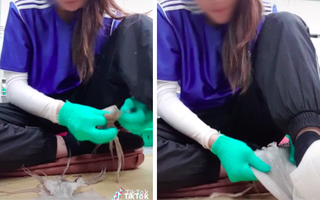 Từng là tín đồ nghiện khô mực hẳn ai cũng sẽ "rùng mình" khi thấy cách cô gái đang ngồi làm tăng kích thước con mực dưới đây