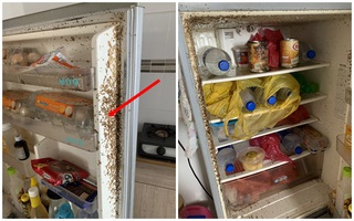 Sau 2 tháng về quê tránh dịch, sinh viên trở lại nhà trọ, bủn rủn chân tay khi phát hiện thứ gì đang lúc nhúc trên cửa tủ lạnh