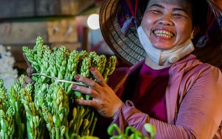 Hà Nội: Chợ hoa đầu mối nhộn nhịp trở lại
