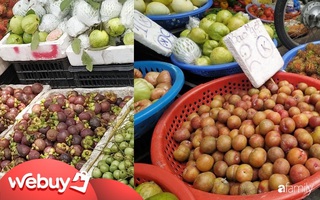 "Soi" giá mận hậu miền Bắc và măng cụt đầu mùa ở Sài Gòn: Mận rẻ giật mình, măng cụt mỗi chợ một giá