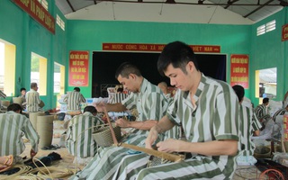 Chính sách có hiệu lực từ tháng 6: Ra tù được vay vốn làm ăn, ngành sư phạm ngừng đào tạo hệ trung cấp