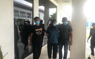 Bị bắt vì trồng cần sa trước nhà, thanh niên gân cổ cãi đấy là... cây tre!
