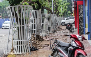 Lo ngại mất trộm, Hà Nội mặc 'áo giáp sắt' cho hàng sưa đỏ