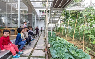 Ngắm ngôi trường mầm non độc đáo ở Hạ Long: Học sinh chạy nhảy vui chơi cùng cây cối, đi học mà như đi khu du lịch sinh thái