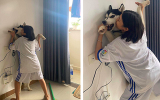 Bị cô chủ ra sức cưỡng hôn, chú “boss” liền thể hiện một thái độ khiến hàng chục nghìn dân mạng đều phải bật cười