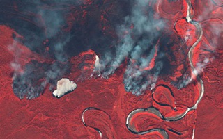 Siberia đỏ lửa và cảnh báo từ Bắc Cực