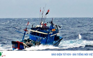Tàu cá ở Bình Định cùng 2 ngư dân mất liên lạc nhiều ngày trên biển