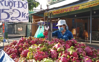Còn 15.000 đồng/2kg, thanh long lại đổ đống, bán đầy đường TP HCM