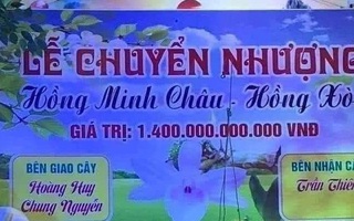 Sự thật "ngã ngửa" về cây lan đột biến hồng minh châu có giá 1.400 tỷ đồng