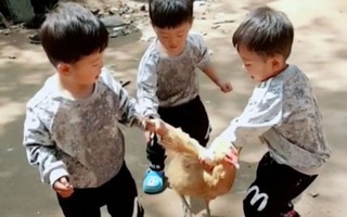 Để các cháu chơi ở sân vào nhà uống nước, ông vừa quay đi đã nghe thấy tiếng kêu thất thanh