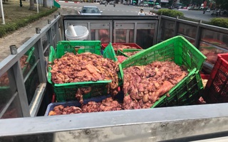 Bắt quả tang nữ tài xế chở hàng tấn nội tạng động vật bốc mùi đang trên đường vào Thủ đô tiêu thụ