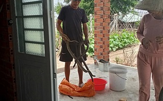 Gia cảnh khó khăn của người đàn ông cầm đầu rắn hổ mang vào bệnh viện cấp cứu: Bị tai nạn giao thông, đi bắt rắn chạy ăn từng bữa