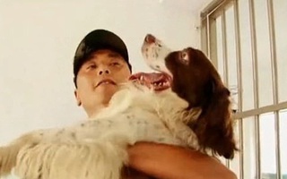 Chú chó cộng sự sát cánh suốt 12 năm chết vì bệnh nặng, người cảnh sát khóc ngất bên cạnh phần mộ khiến ai cũng phải xót xa