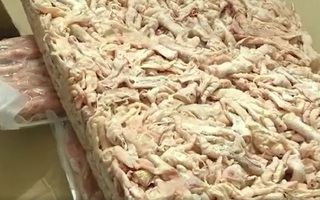 Phát hiện kho hàng đông lạnh chứa hàng chục tấn nội tạng lợn nhiễm dịch tả lợn châu Phi
