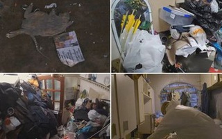 Bên trong căn hộ nhiều rác nhất Anh quốc: Chuột vào rồi đành bỏ mạng vì không có đường ra