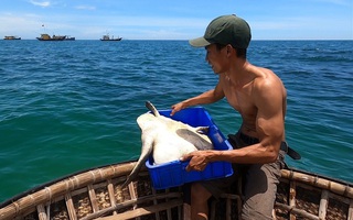 Thanh niên xứ Quảng trộm 18kg ‘mồi nhậu’ của cha thả xuống biển