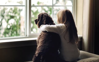 Thang đo khả năng tự sát Emmengard: Giúp đánh giá mức độ khủng hoảng tâm lý và cách vượt qua của người từng tìm đến cửa tử