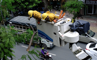 TP.HCM: Công nhân "treo mình" trên xe thang cao vút cắt cành phượng gãy gần đường điện, đảm bảo an toàn mùa mưa bão