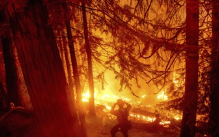 Hỏa hoạn tại California (Mỹ) thiêu rụi diện tích rừng kỷ lục