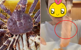 Cô gái gây sốc tung clip "ăn tươi nuốt sống" cua hoàng đế khi con vật vẫn còn ngọ nguậy, netizen bình luận: Sợ quá!