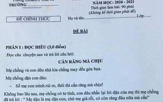 Giáo viên ở Gia Lai ra đề Ngữ văn có nội dung nhạy cảm