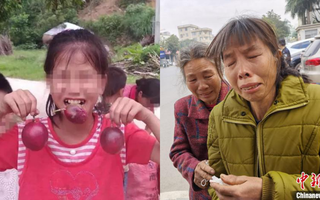 Bé gái bị kẻ biến thái sát hại dã man khi đang đi bán trái cây, gần 840 ngày sau mới được hỏa táng vì chờ hung thủ trả giá