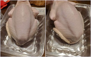 Nhìn qua tưởng khay thịt gà vặt sạch lông, dân mạng giật mình vì hóa ra đó là sinh vật khá đắt tiền