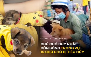 Độc quyền: Cô chủ mới tiết lộ tình trạng hiện tại của bé cún duy nhất còn sống trong đàn 15 con bị tiêu hủy ở Cà Mau và cảm xúc khó tả khi "hay tin dữ"