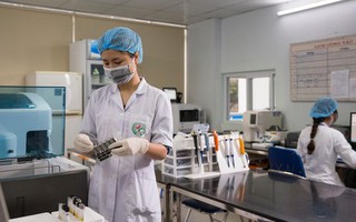 Giáo dục đại học Việt Nam có thêm 2 lĩnh vực được xếp hạng quốc tế